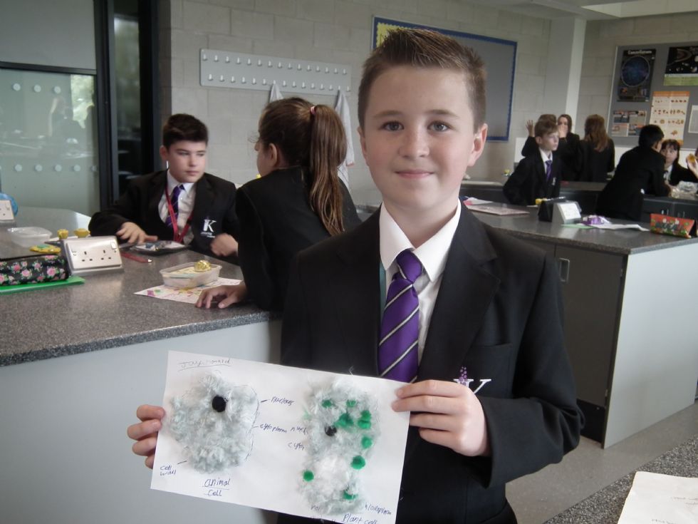 Plant Cell Labelled Diagram Year 7 : Quiz Over Plant And Animal Cells - ProProfs Quiz : Terms in this set (11).
