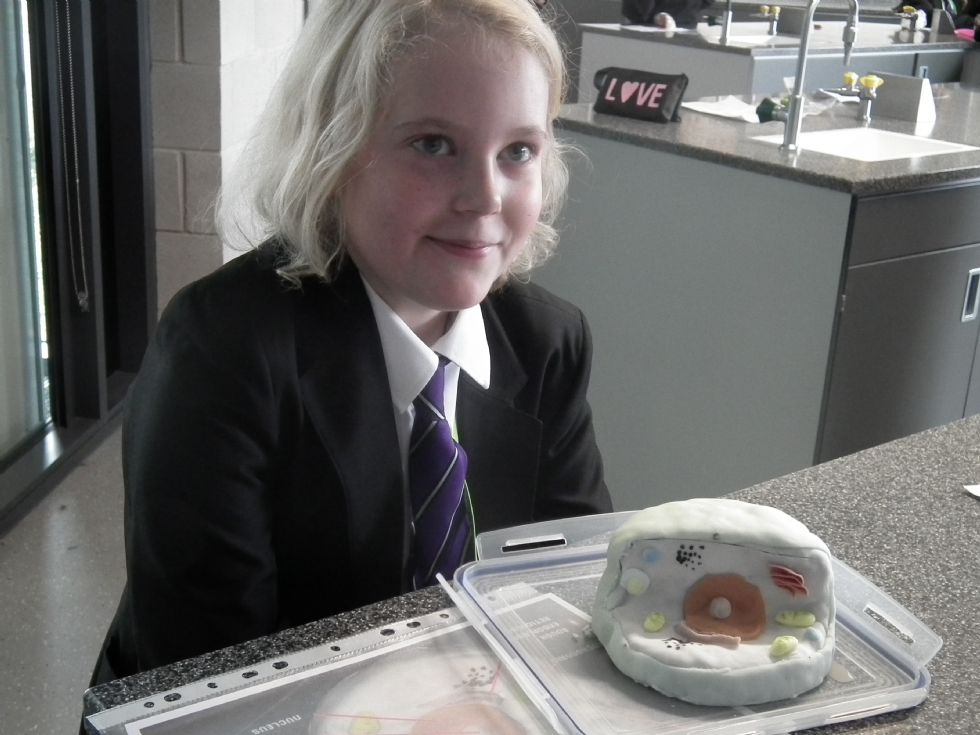Cells Homework - Kettering Science Academy